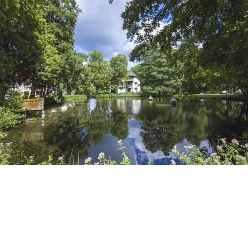 Falk Seehotel Stuersche Hintermühle