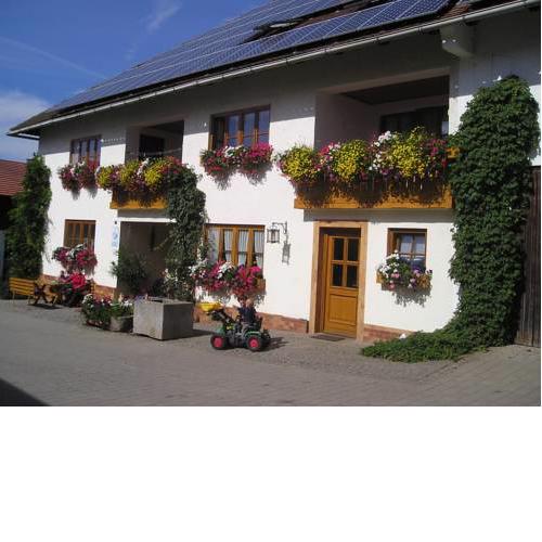 Familien Ring und Vogl