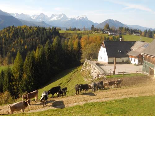Familienbauernhof Imitz