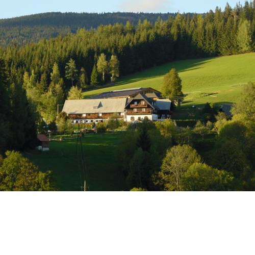 Familienhotel und Reiterparadies Ponyhof