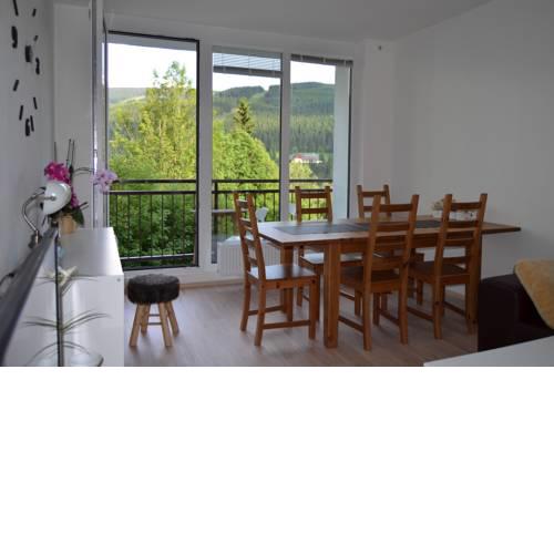 Family Apartment Špindlerův Mlýn