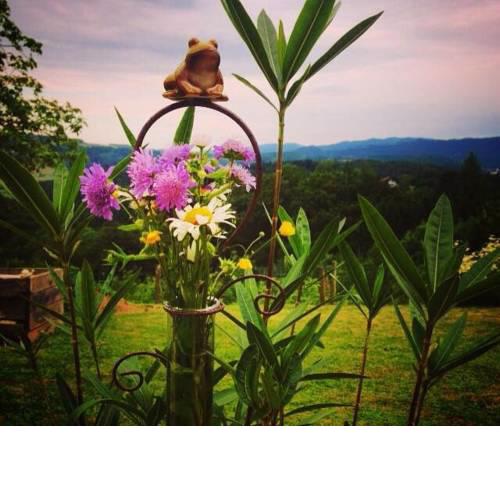 Family-Farm-Koppin-Gady