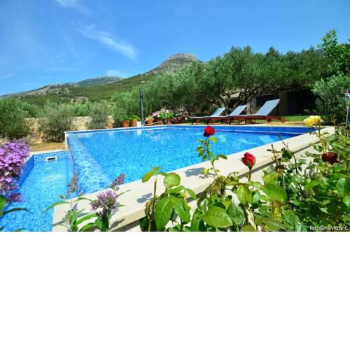 Family friendly house with a swimming pool Bol, Brac - 14291