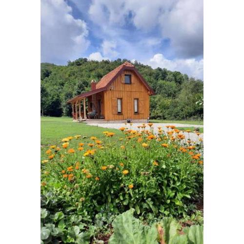 Family friendly house with a swimming pool Gospic, Velebit - 21171