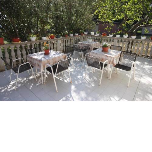 Family friendly seaside apartments Sukosan, Zadar - 6133