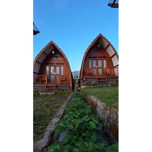 Family rinjani bungalow