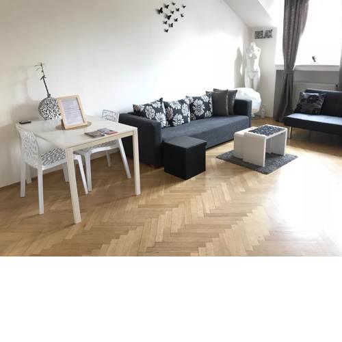 Fantastic apartment in the city center