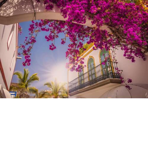 Feel at home in Puerto de Mogan