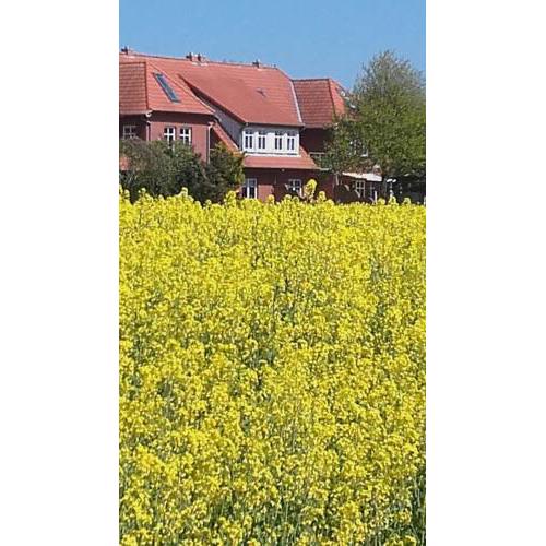 Fehmarn Ostseeferien FH4/Ferienhaus Mary (114/1) ehemals FH Blaha - [#95055]