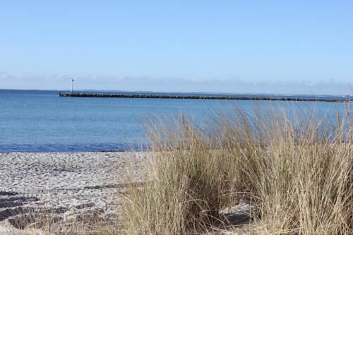 Fehmarn-OstseeferienFewoKrabbe 1551 - a47233