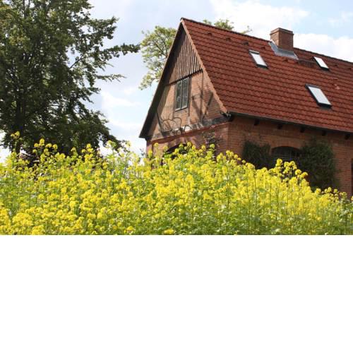Fereinwohnung "Bungsbergblick" - [#92727]