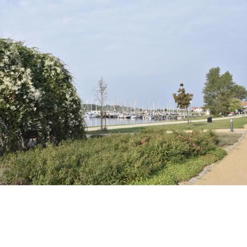 Waterfront Apartment in Rerik with terrace