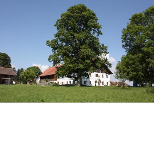 Ferien beim Baur