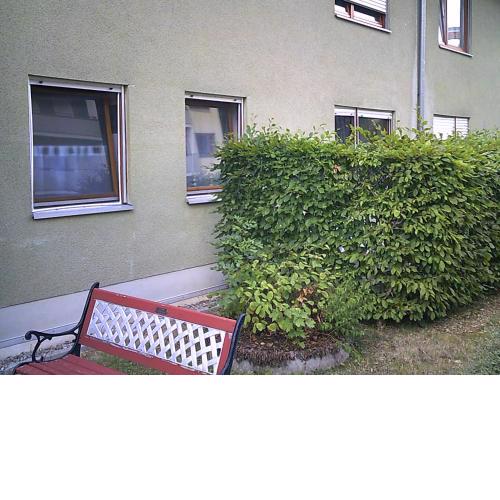 Ferien und Monteurwohnung