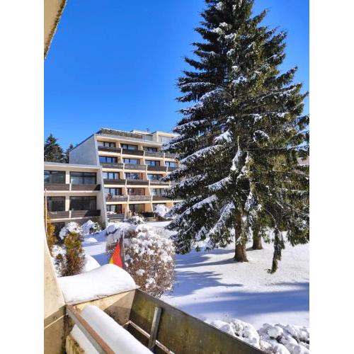 Ferienapartment "Alois" in Sankt Englmar