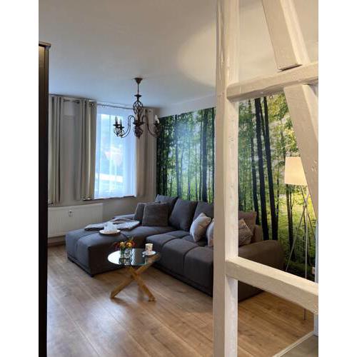Ferienapartment HarzZeit