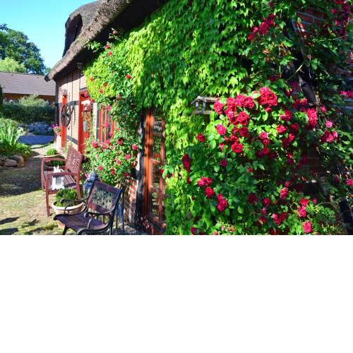 Ferienappartement Bauernrose