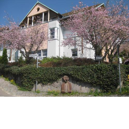 Ferienappartements-Ferienwohnung Steige