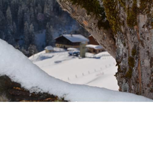 Ferienbauernhof Elmaugut