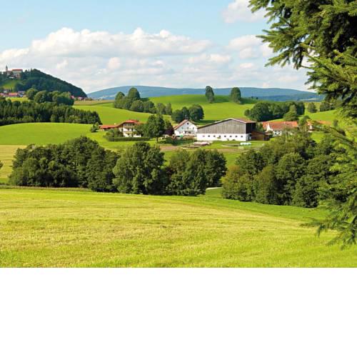 Ferienbauernhof Jakob Rohrhof