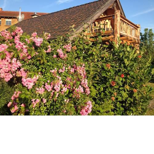 Ferienblockhaus Ackerbauer
