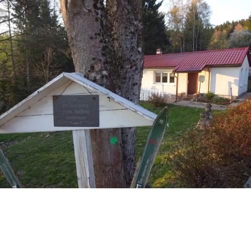 Ferienbungalow Beerberg Thüringer Wald