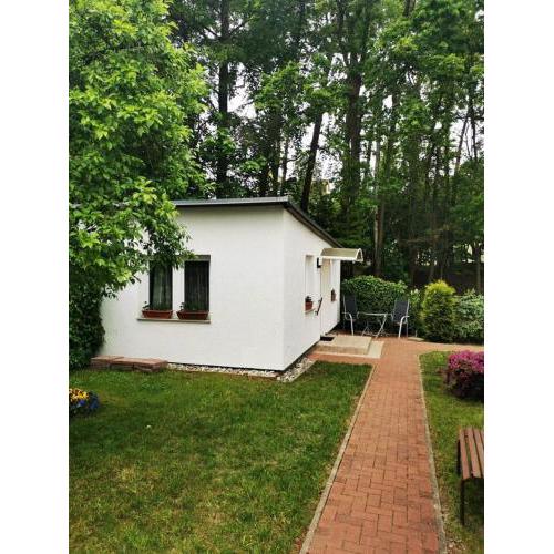 Ferienbungalow im Igelbau