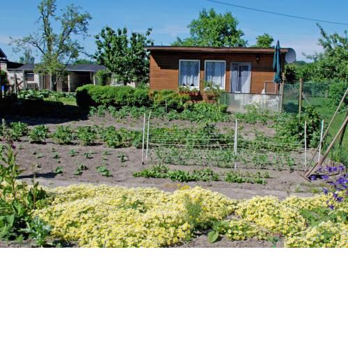 Ferienbungalow Saathoff