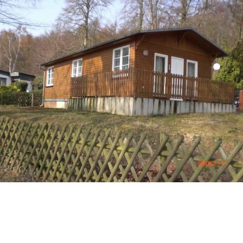 Ferienbungalows am Rand des Buchenwaldes im Ostseebad Sellin