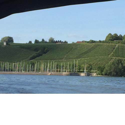 Feriendomizil Weinberg