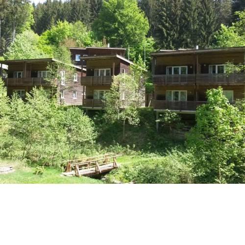 Holiday home in the Grossbreitenbach with Sauna