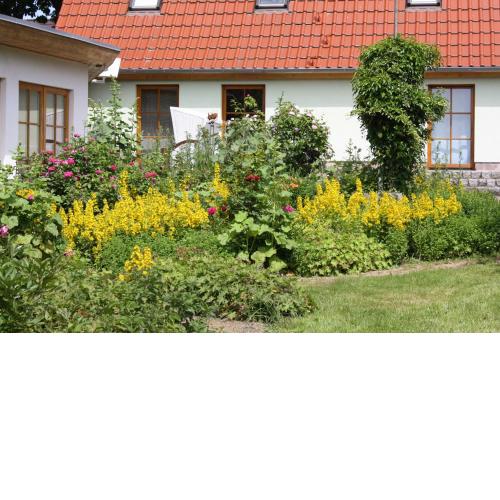 Ferienhaus - Grüner Katen