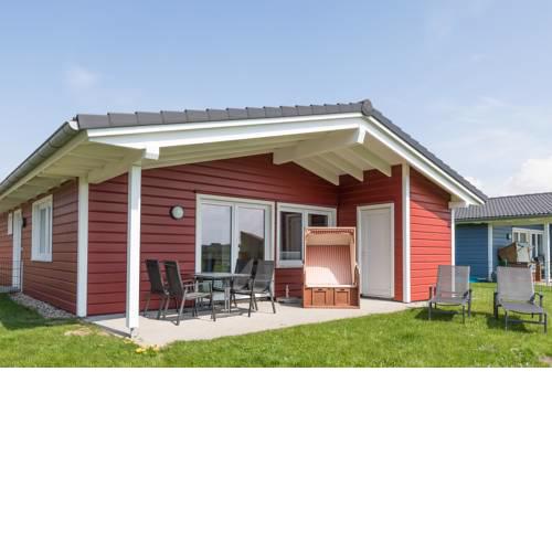 Ferienhaus - Strandflieder