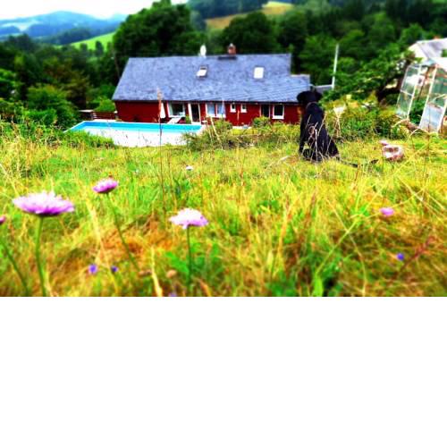 Ferienhaus am Horn