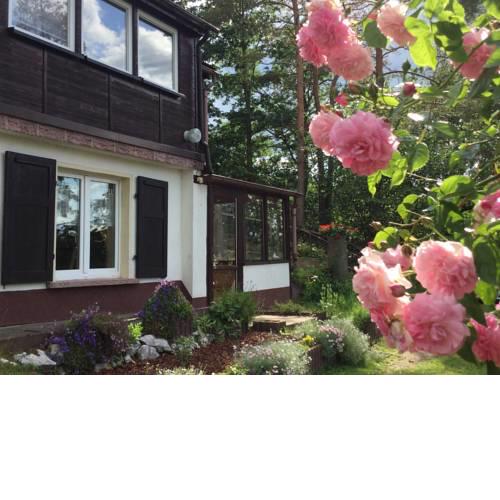 Ferienhaus am Kyffhauser