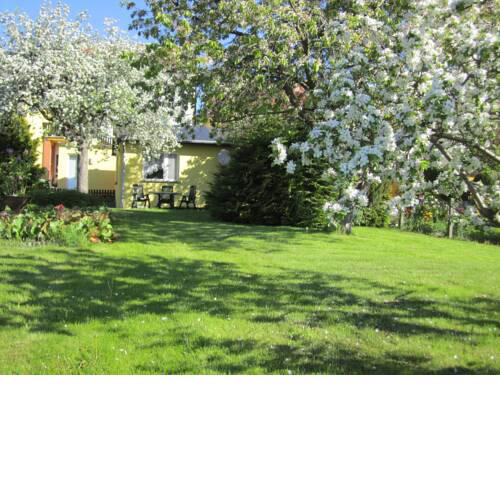 Ferienhaus am Schilfgürtel
