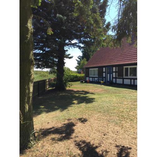 Ferienhaus am Seegrund