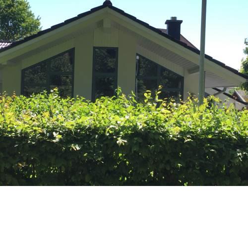 Ferienhaus am Stadtwald