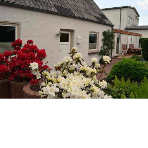 Ferienhaus "Am Strand", Haus 2 - a69231