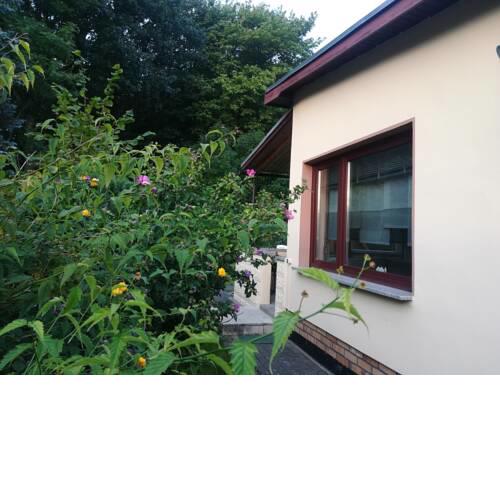 Ferienhaus am Wald