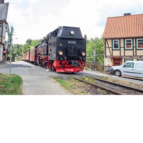 Ferienhaus an der Brockenbahn