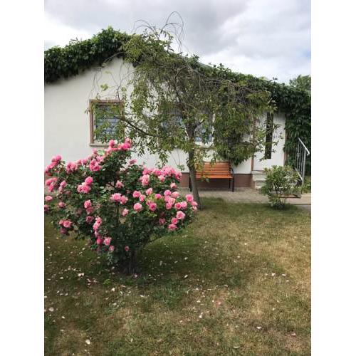 Ferienhaus an der Selke