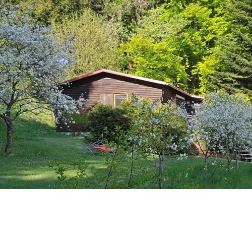 Charming Chalet in Stadlern Bavaria with Private Garden
