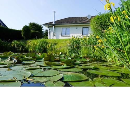 Ferienhaus Auszeit