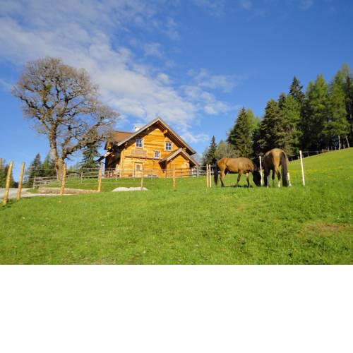Ferienhaus Bichlhütte
