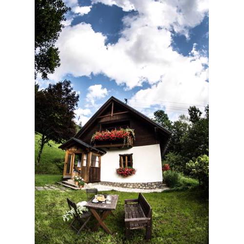 Ferienhaus Brandl