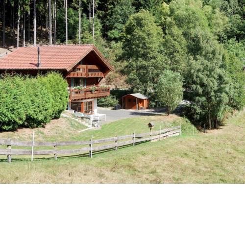 Ferienhaus Brilon 100S