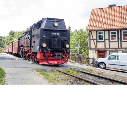 Ferienhaus-Brockenbahn - a50832