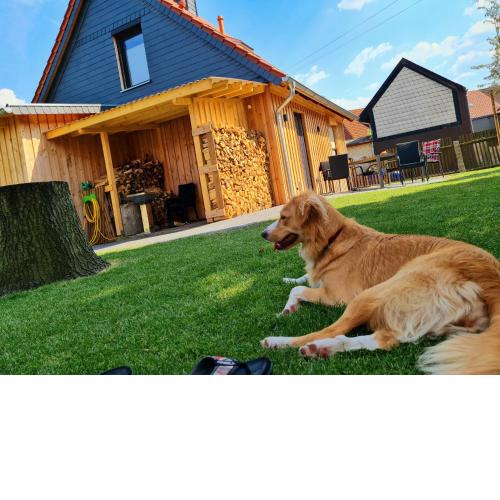Ferienhaus Darlingerode