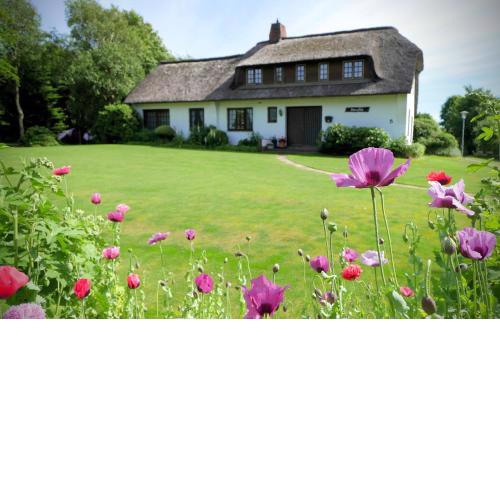 Ferienhaus Ebbe und Flut, Terrassen-Whg